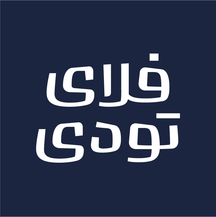 فلای تودی